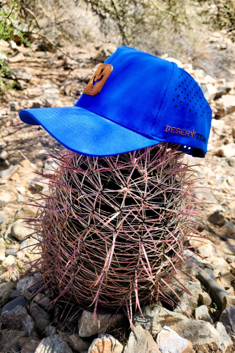 DesertTowel - Snapback - Image 5
